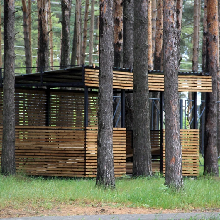 Безопасность